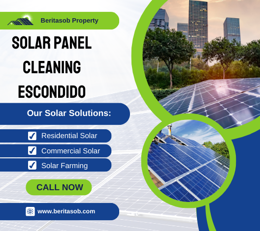 Solar Panel Cleaning Escondido